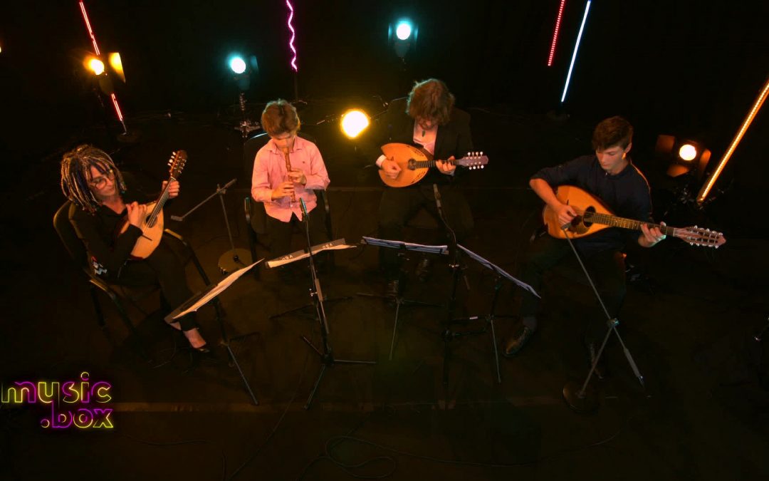 La mandoline de Vincent Beer-Demander dans “music.box”